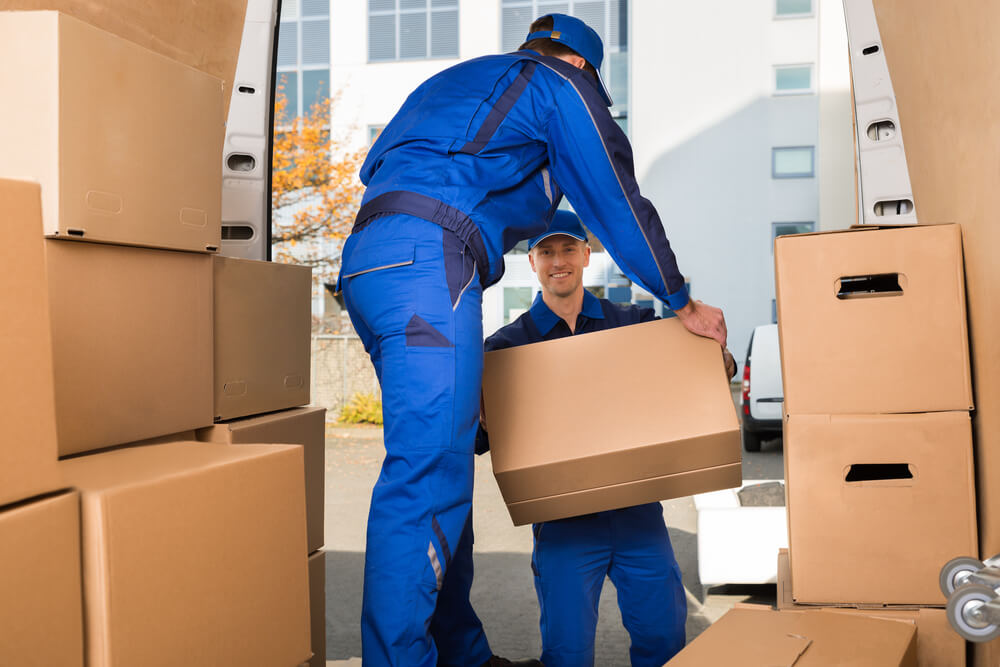 Best Movers in Stuart